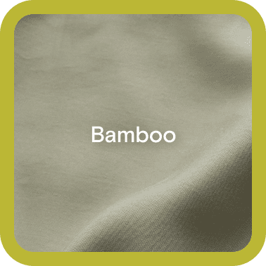 Bamboo