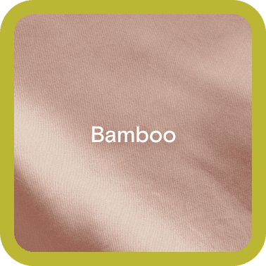 Bamboo